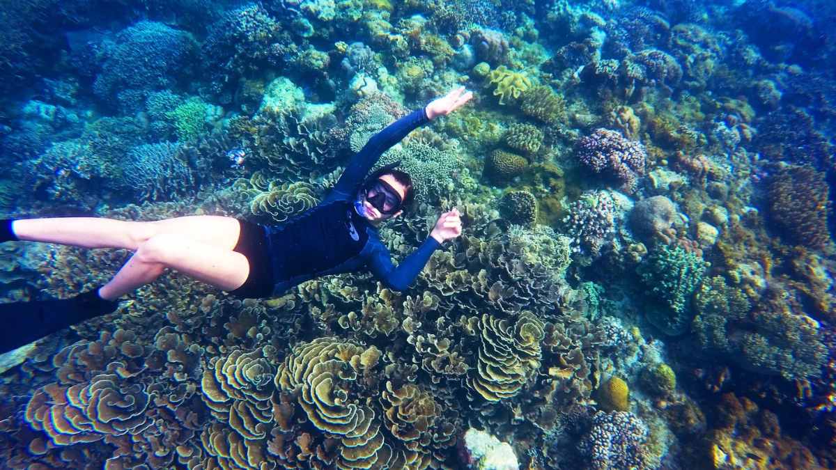 Private Snorkeling 3 Gili During 8 Hours
